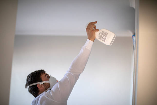 Best Mold Cleaning Services  in Harbor Hills, OH