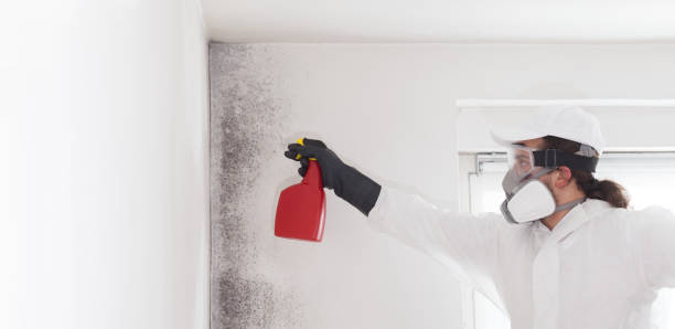 Best Professional Mold Removal  in Harbor Hills, OH